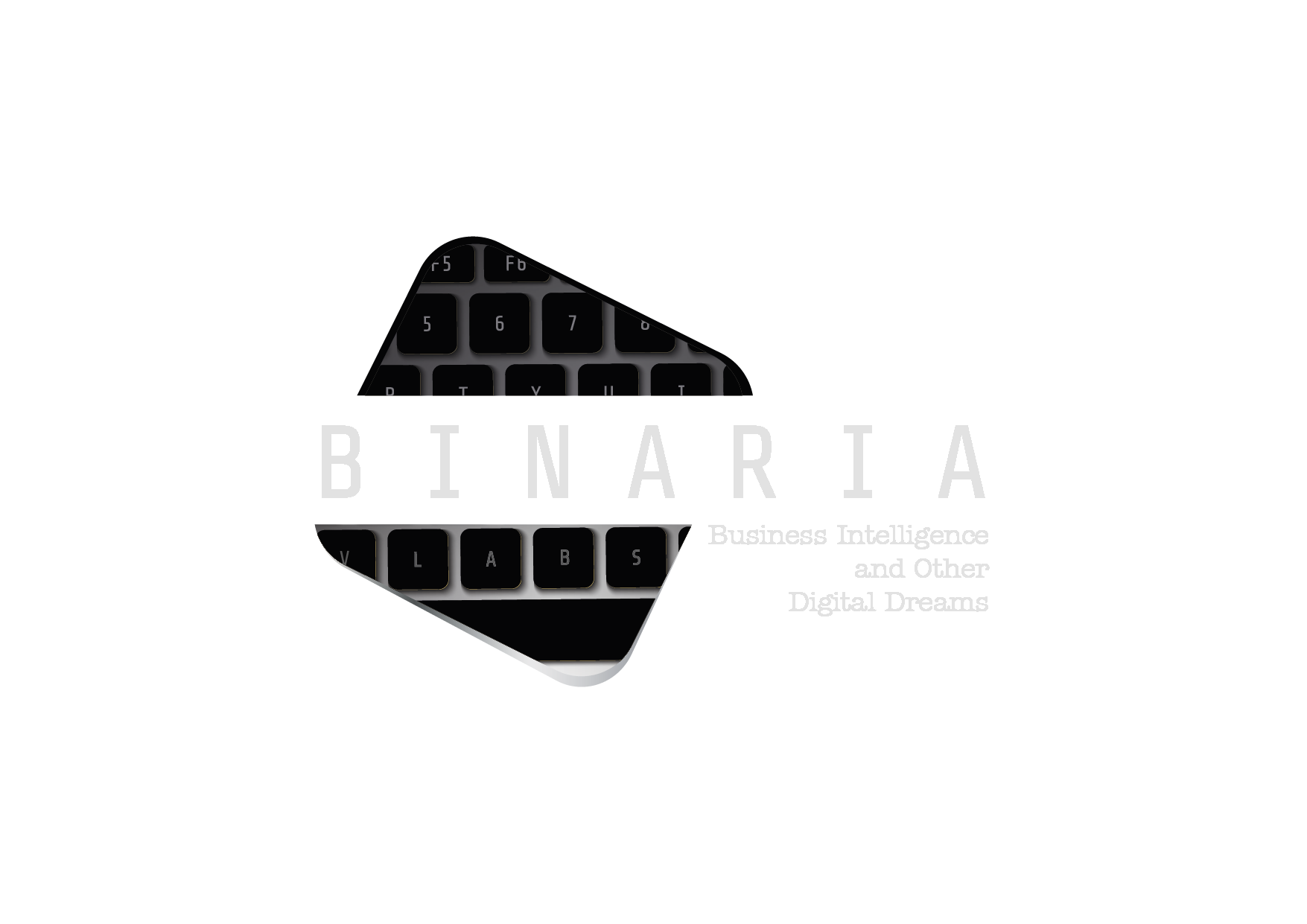 Logo Binaria